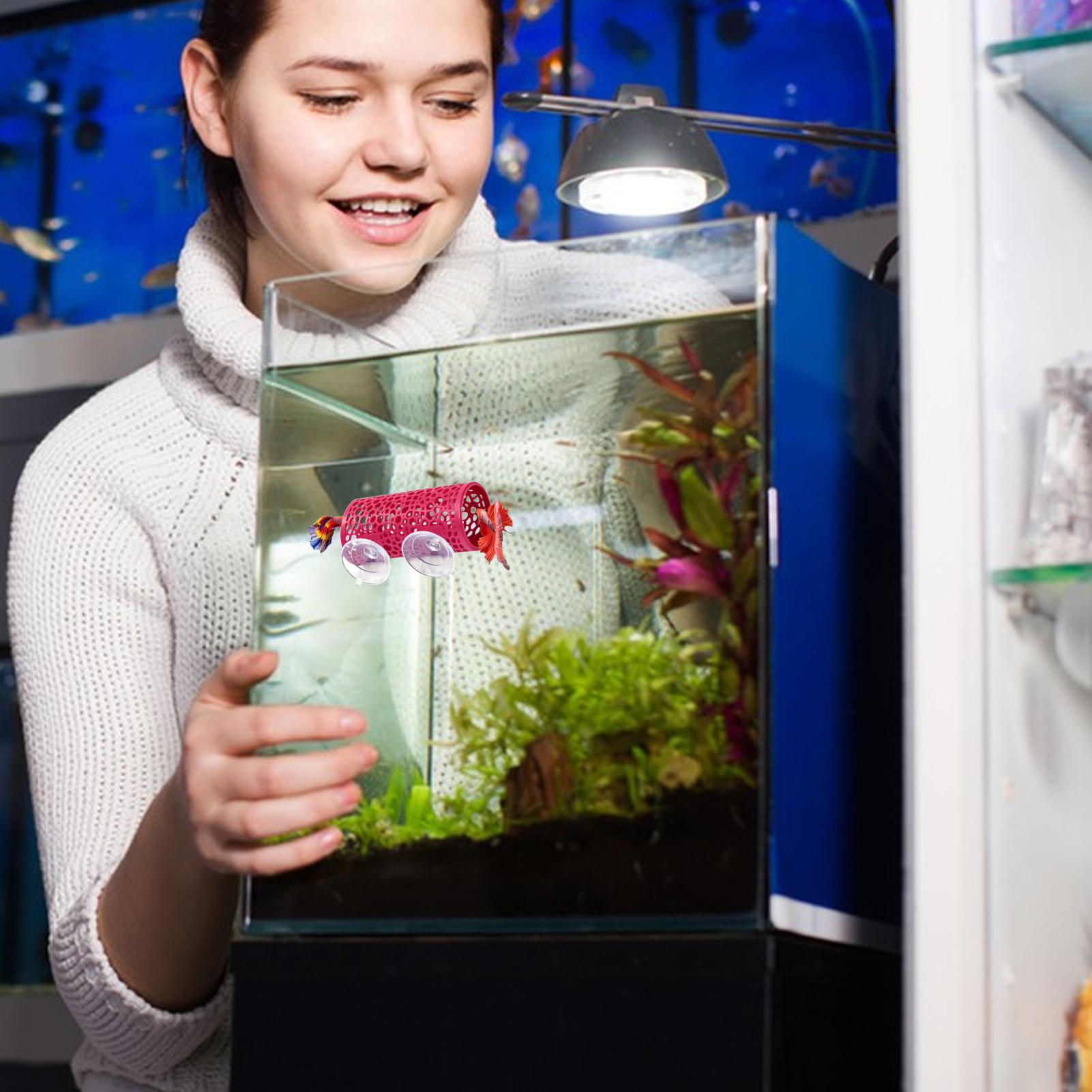 Aquarium Fish Betta - Habitat para Bettas, Refugio, Adorno, Túnel