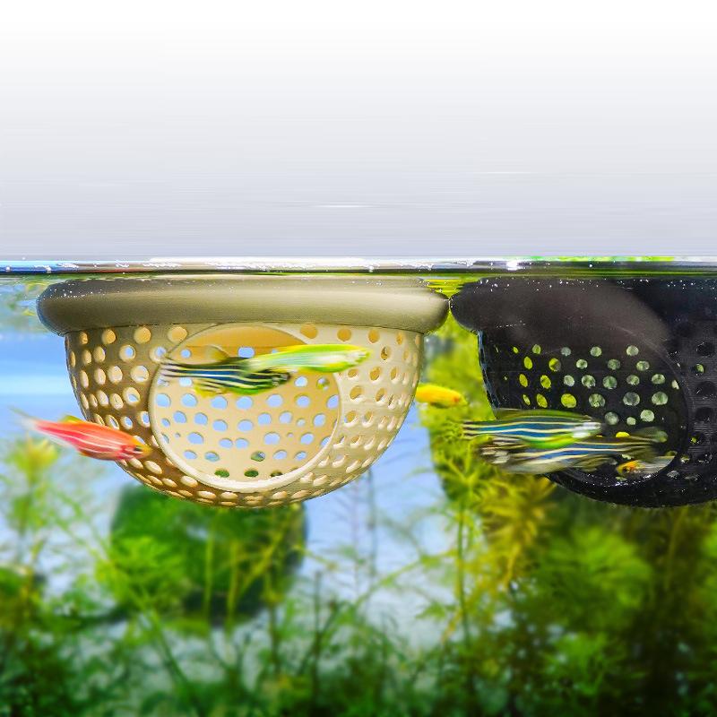 1 unidad: hamaca para peces be - Betta Fish Tank reseña y precio