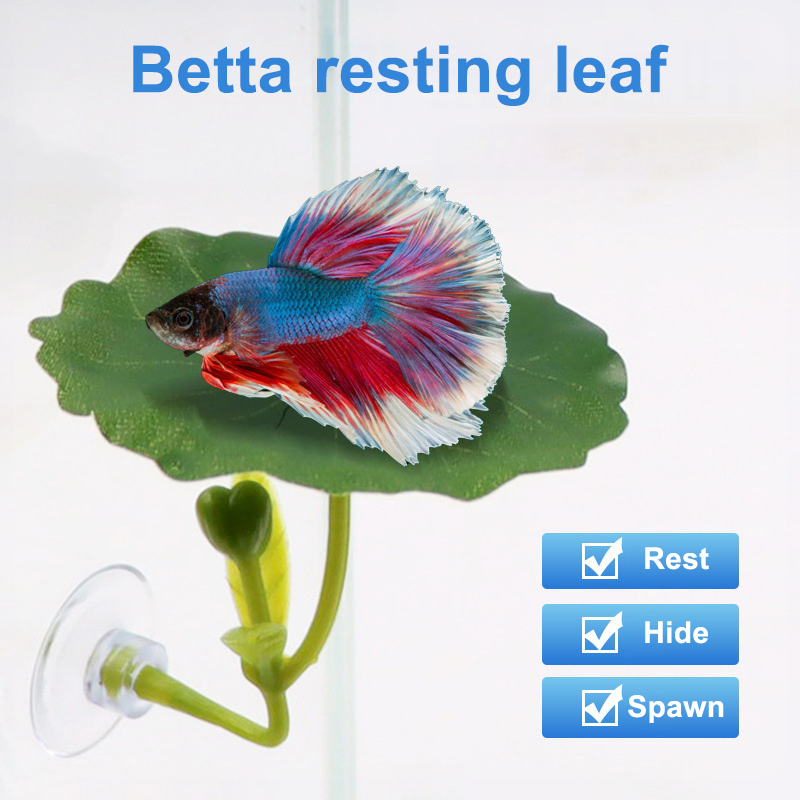 1 unidad de hamaca para peces  - Aquarium Fish Betta reseña y precio