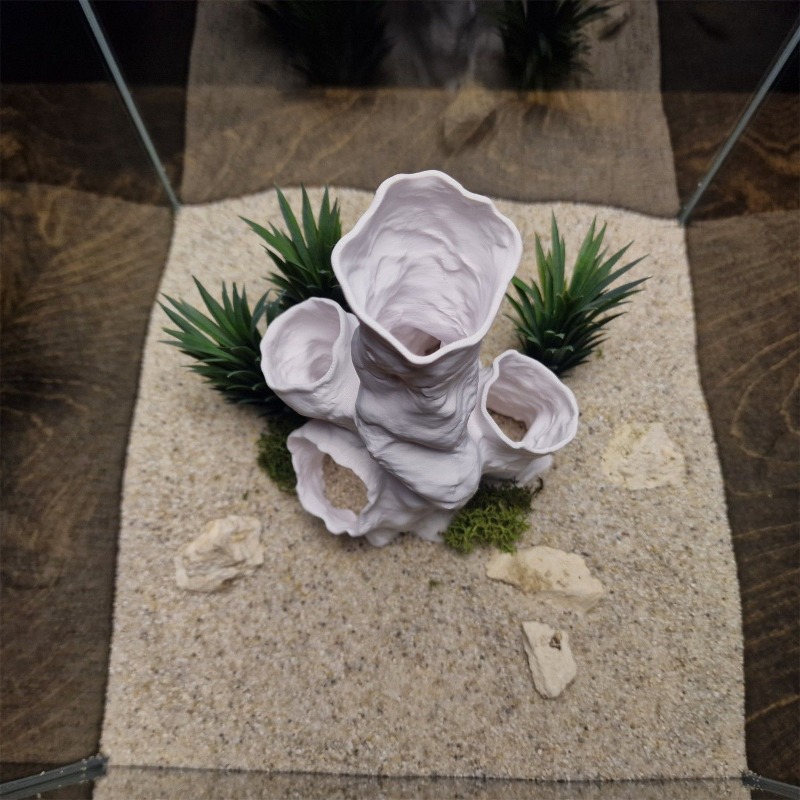 Oferta Especial: Decoración Im - Betta Fish Tank reseña y precio