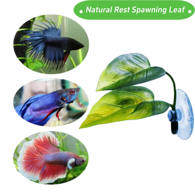 Suministros para Acuarios, Dec - Aquarium Fish Betta reseña y precio
