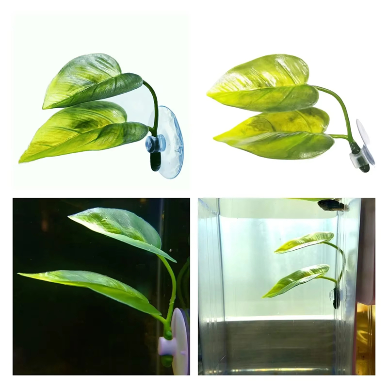 Suministros para Acuarios, Dec - Aquarium Fish Betta reseña y precio