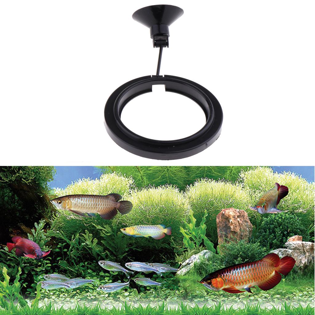 Comedero flotante para acuario - Aquarium Fish Keeping reseña y precio